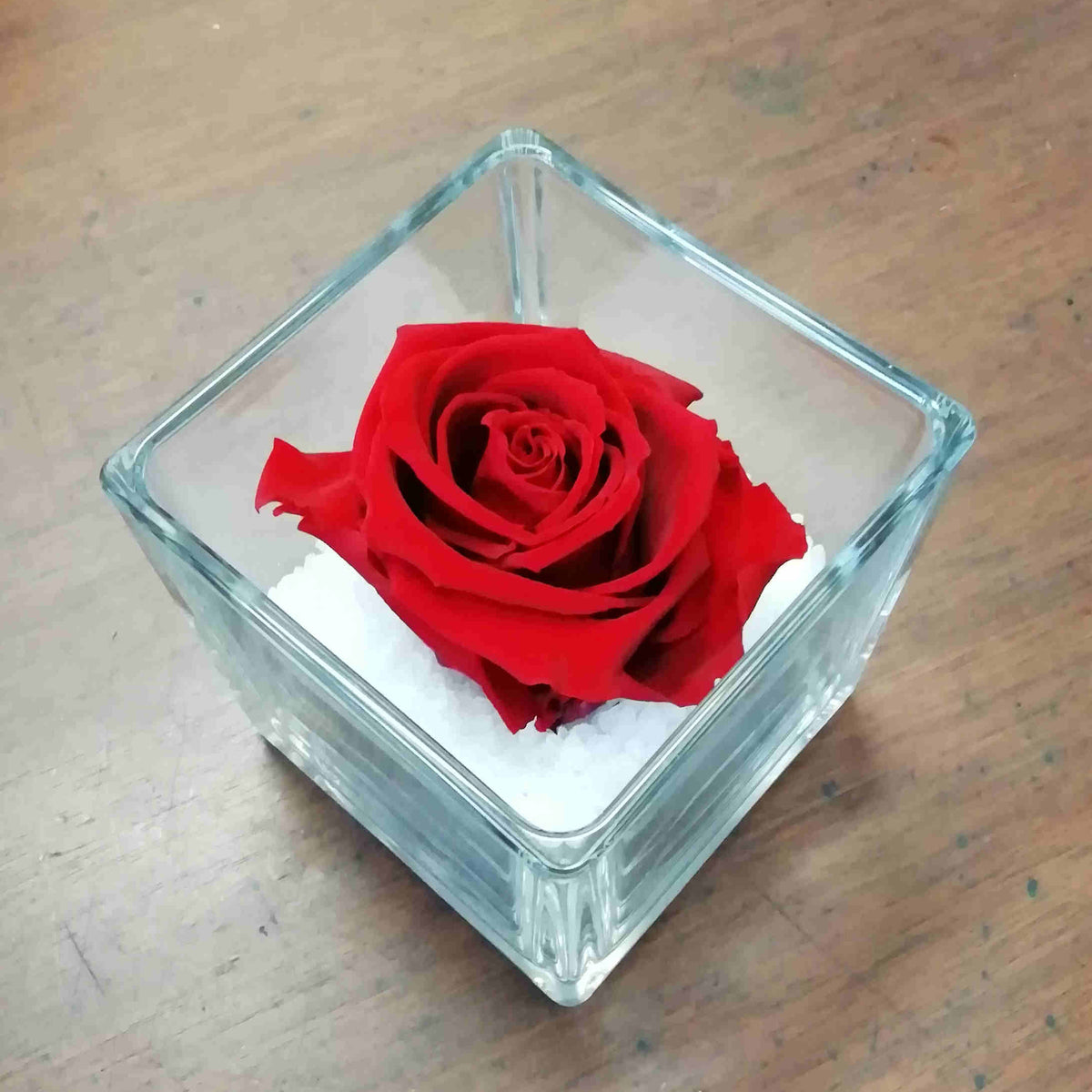 Rosa Eterna Blù in Box di Plexiglass